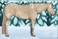 Horse Color:Palomino Ice 