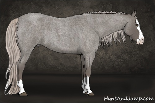 Horse Color:Silver Blue Roan Splash 