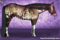Horse Color:ERROR: UNKNOWN ANOMALY and Bay Onyx Brindle