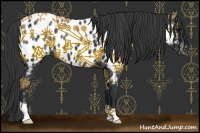 Horse Color:Black Ice Appaloosa 