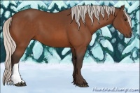 Horse Color:Silver Bay 