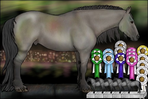 Horse Color:Smoky Grullo Roan Rabicano 