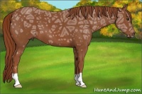 Horse Color:Chestnut Ice 