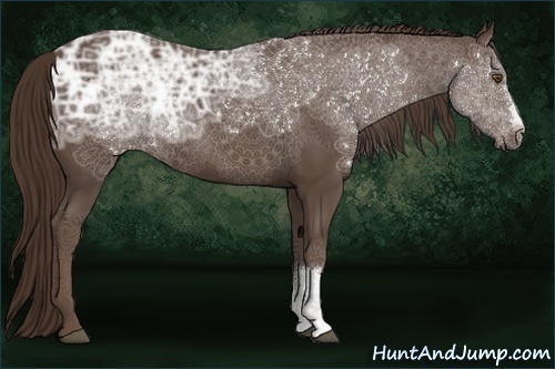 Horse Color:Liver Chestnut Ice 