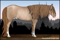 Horse Color:Liver Chestnut Pearl Rabicano