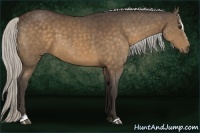 Horse Color:Silver Bay Sabino 