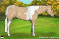 Horse Color:Red Dun Ice Tobiano
