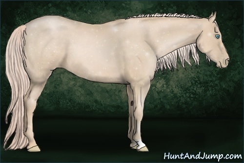 Horse Color:Palomino Pearl 