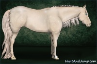 Horse Color:Palomino Pearl