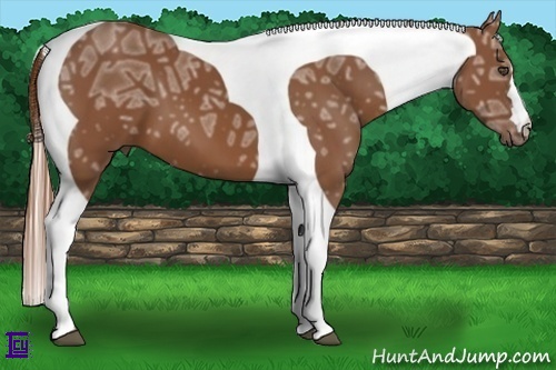 Horse Color:Chestnut Ice Tobiano