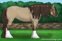 Horse Color:Liver Red Dun 