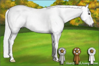 Horse Color:Gray White Spotted Buckskin 