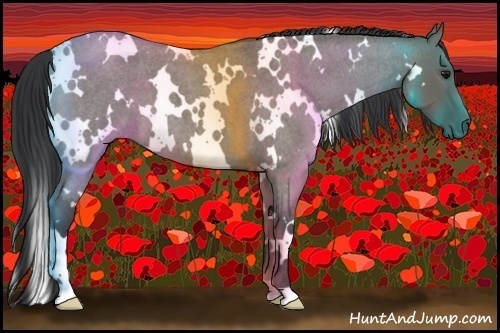 Horse Color:White Spotted Grullo Roan