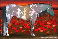 Horse Color:White Spotted Grullo Roan 