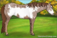 Horse Color:Chestnut Ice Frame