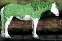 Horse Color:Watercolor Smoky Black Ice Splash
