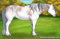 Horse Color:Watercolor White Spotted Buckskin Ice Splash 