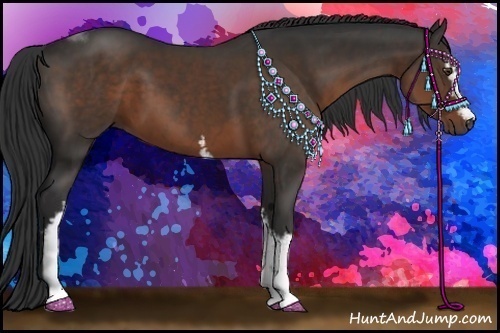 Horse Color:White Spotted Liver Chestnut