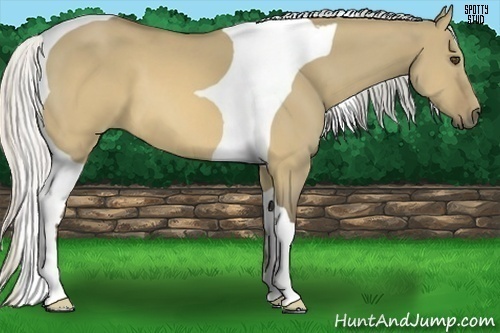 Horse Color:Silver Buckskin Dun Tobiano 