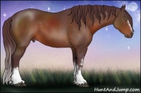 Horse Color:White Spotted Chocolate Bay 