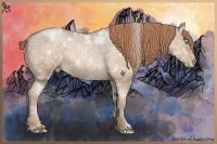 Horse Color:White Spotted Buckskin Ice Pearl 
