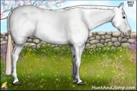 Horse Color:White Spotted Smoky Black Blanket