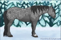 Horse Color:Black Ice 