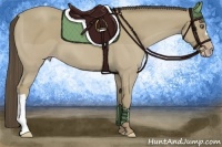 Horse Color:Classic Cream Champagne 