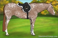 Horse Color:Chestnut Ice Sabino Frame 