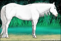 Horse Color:Chocolate Palomino Pearl Appaloosa