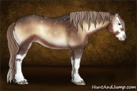 Horse Color:Liver Red Onyx Sabino Splash 