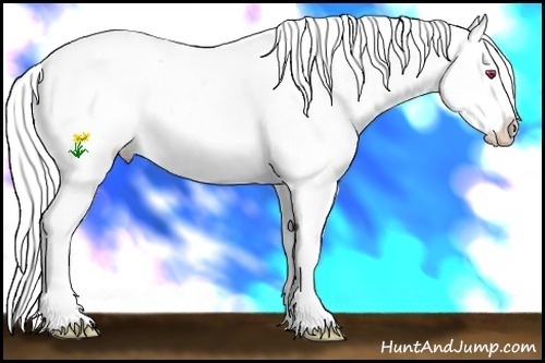 Horse Color:Silver Grullo Chinchilla Splash Blanket Rabicano 