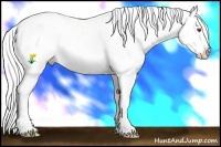 Horse Color:Silver Grullo Chinchilla Splash Blanket Rabicano 