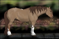 Horse Color:Liver Red Dun Tobiano Rabicano 