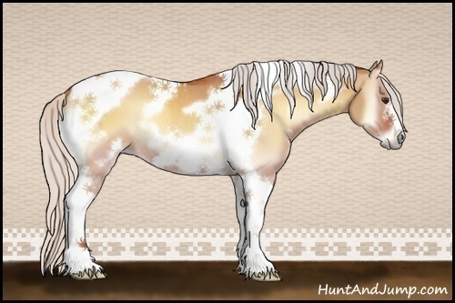 Horse Color:White Spotted Silver Bay Onyx Tobiano Frame Rabicano 