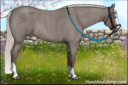 Horse Color:Silver Blue Roan Splash Rabicano