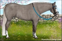 Horse Color:Silver Blue Roan Splash Rabicano