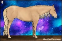 Horse Color:Gold Champagne Rabicano 