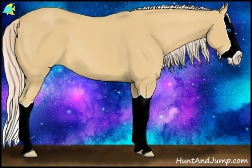 Horse Color:Palomino Splash 