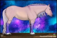 Horse Color:Watercolor Silver Bay Dun Rabicano
