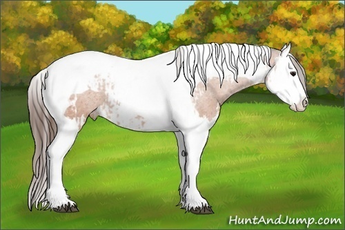 Horse Color:Bay Splash Tobiano Varnish and Bay Splash Tobiano Varnish