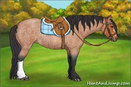 Horse Color:Bay Roan and Bay Roan Rabicano