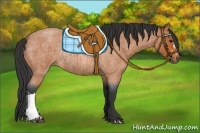 Horse Color:Bay Roan and Bay Roan Rabicano