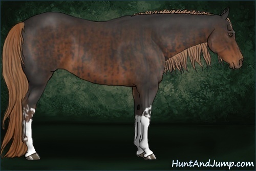 Horse Color:Liver Chestnut  and Liver Chestnut 