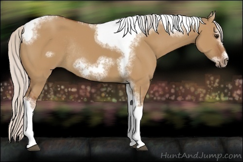 Horse Color:Silver Bay Dun Sabino Tobiano Frame Rabicano