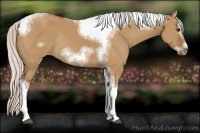 Horse Color:Silver Bay Dun Sabino Tobiano Frame Rabicano 
