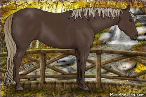 Horse Color:Liver Chestnut 