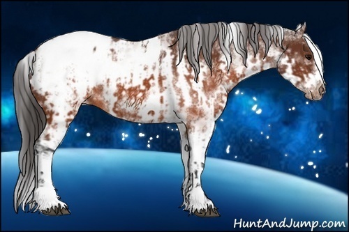 Horse Color:White Spotted Brown Tobiano Frame Snowcap Rabicano  and White Spotted Brown Splash Frame Snowcap Rabicano 