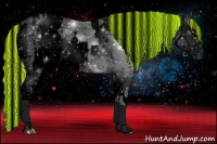 Horse Color:ERROR: UNKNOWN ANOMALY and ERROR: UNKNOWN ANOMALY