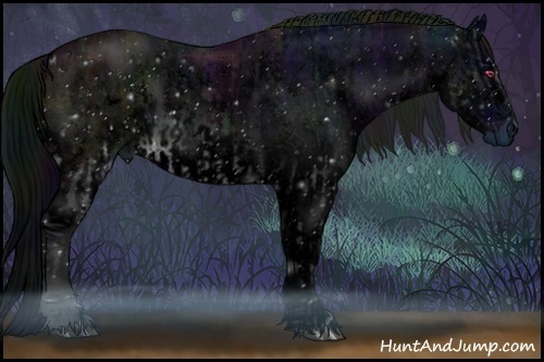 Horse Color:ERROR: UNKNOWN ANOMALY and ERROR: UNKNOWN ANOMALY